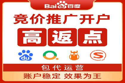 某企业SEM广告投放的ROI提升策略及效果展示